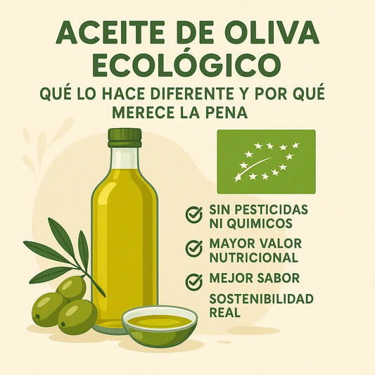 🫒 Aceite de oliva ecológico: qué lo hace diferente y por qué merece la pena